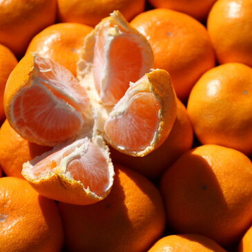 【ふるさと納税】和歌山県産 有田みかん 4kg (2S〜Lサイズ混合)【まごころ手選別】【ミカン 蜜柑 温州みかん 柑橘 和歌山】