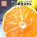 【ふるさと納税】【人気の極早生みかん】ゆら早生 5kg 紀州...