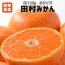 【ふるさと納税】有田みかんの最高峰【和歌山ブランド】人気の田...