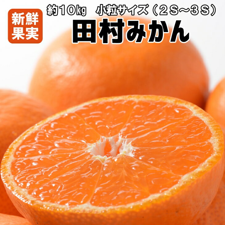 みかん5