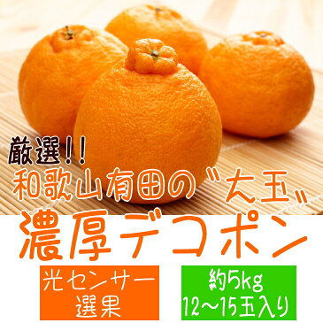 【ふるさと納税】【先行予約】厳選!!和歌山有田の濃厚