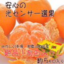 【ふるさと納税】■【和歌山県特産】絶品!有田みかん 約5kg...