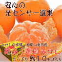 【ふるさと納税】【和歌山県特産】絶品!有田みかん 約10kg...