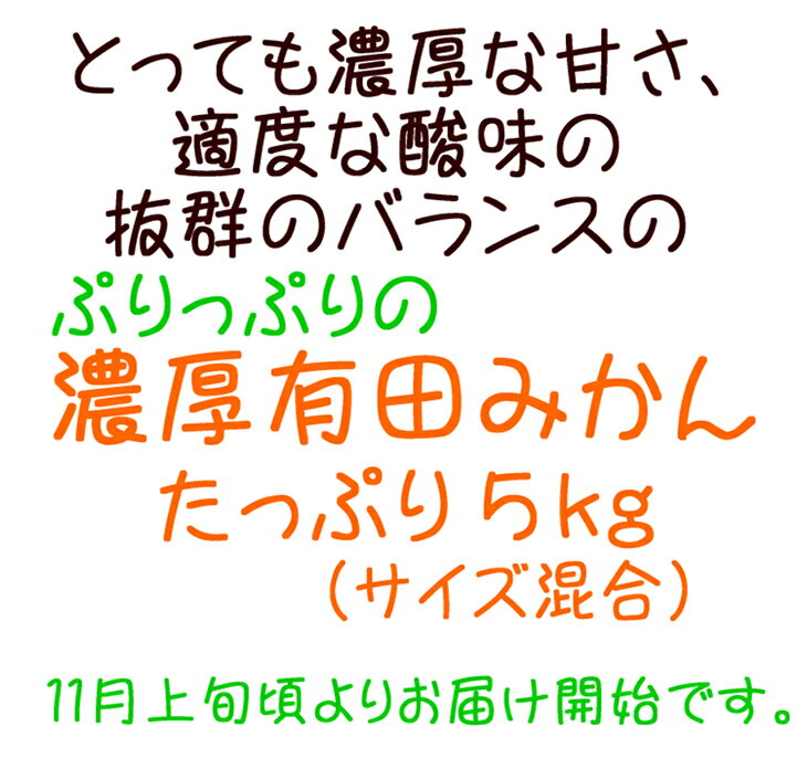 【ふるさと納税】厳選!濃厚有田みかん　5kg※2019年11月上旬頃より順次発送予定が大人気返礼品になっている理由とは　ふるさと納税　人気　返礼品　ランキング