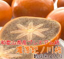 【ふるさと納税】【和歌山特産品】 和歌山柿の最高峰 濃厚!紀...