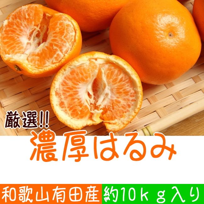 【ふるさと納税】厳選！和歌山有田の濃厚はるみ　約10kg（Sサイズ）※2021年1月下旬頃より順次発送予定