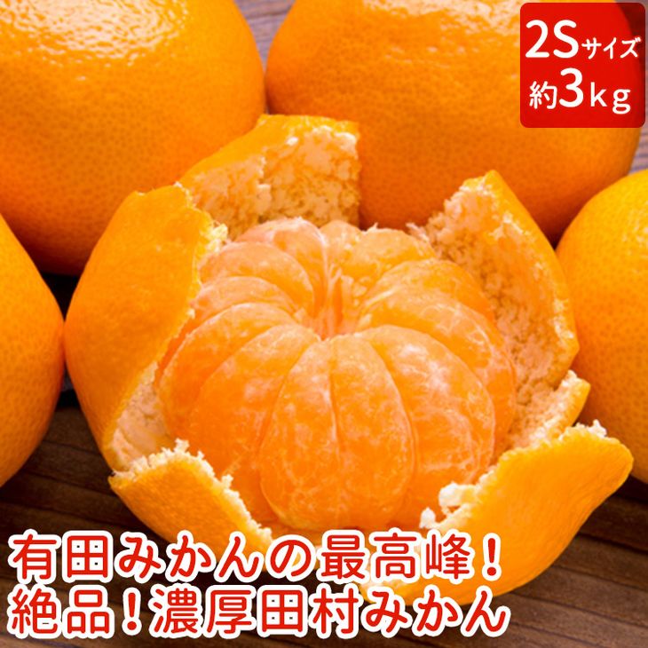 【ふるさと納税】【ふるさと納税】【和歌山特産品】【プレミアムブランド】絶品！ 田村みかん 3kg (2Sサイズ)のサムネイル