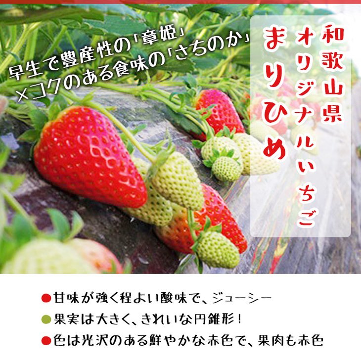 【ふるさと納税】農家直送!濃厚完熟まりひめいちご12〜18粒×2トレイ(700g)【いちごイチゴ苺ストロベリーフルーツ】