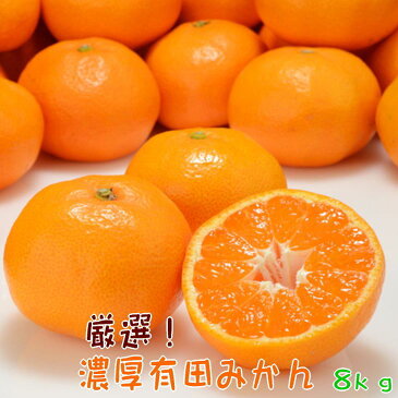 【ふるさと納税】【先行予約】厳選! 濃厚 有田みかん 8kg (サイズ混合)【ミカン 蜜柑 オレンジ 柑橘 温州みかん 和歌山 有田】
