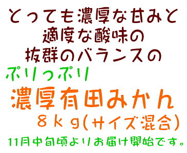 【ふるさと納税】【先行予約】厳選! 濃厚 有田みかん 8kg (サイズ混合)【ミカン 蜜柑 オレンジ 柑橘 温州みかん 和歌山 有田】