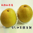 【ふるさと納税】【冬の美味】農家直送!味覚の王様大人気梨