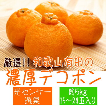 【ふるさと納税】【先行予約】厳選!!和歌山有田の濃厚デコポン 約5kg ※2022年1月下旬頃より順次発送予定