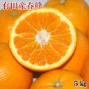 【ふるさと納税】和歌山で生まれた春にぴったりの柑橘「春峰」約5kg 【ふるさと納税】和歌山で生まれた春にぴったりの柑橘「春峰」約5kg