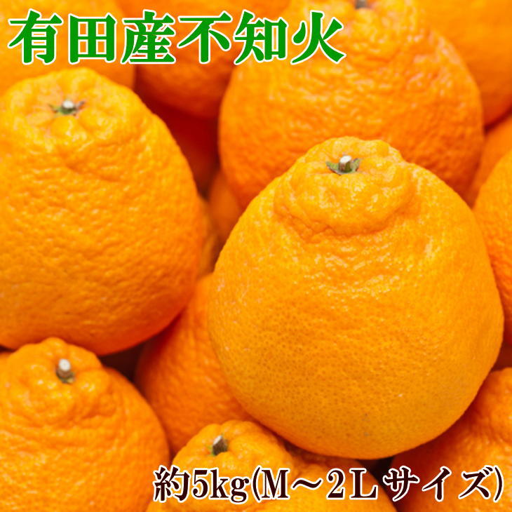 【ふるさと納税】【濃厚】有田の不知火（デコポン）約5kg （20玉〜28玉）