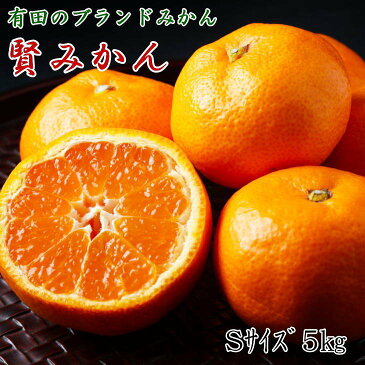 【ふるさと納税】有田ブランド 賢みかん 5kg(Sサイズ・赤秀)【数量限定】