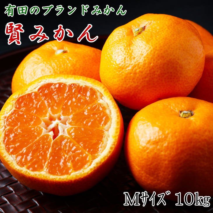 【ふるさと納税】【2025年先行予約】 【秀品】 有田ブランド 賢みかん 10kg （Mサイズ） 【ミカン 蜜柑 柑橘 温州みかん 有田みかん】
