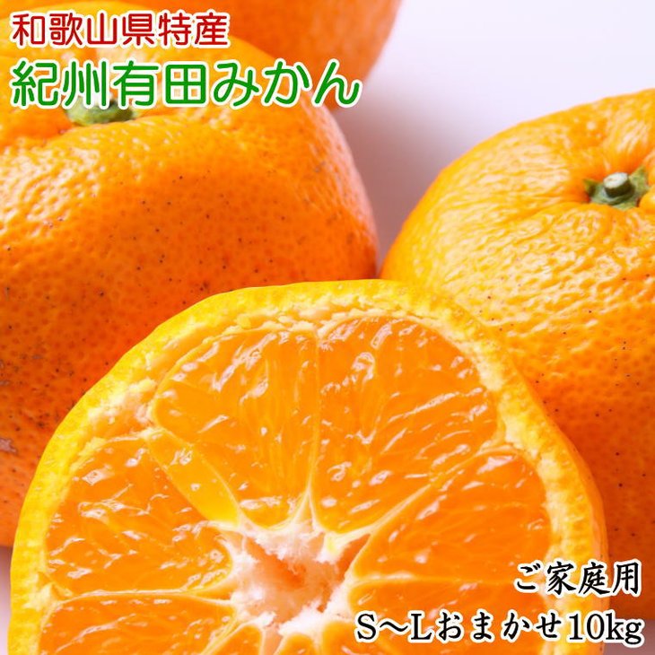 【ふるさと納税】【限定】 【家庭用】 和歌山 有田みかん 10kg (S～Lサイズおまかせ)【ミカン 蜜柑 柑橘 温州みかん 有田みかん 訳あり】のサムネイル