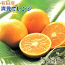 温州みかんの品種である「宮川早生」とオレンジの品種である「トロビタオレンジ」の交配によって産まれた柑橘です。 温州みかんの甘さと、オレンジの香りを受け継いだ、とっても魅力ある柑橘です。 口に入れるとトロける果肉とあふれだすジューシーさがたまりません。 肉質も柔らかく、ビタミンが多く含まれ、食物繊維も豊富です。 ただ、清見オレンジは果皮が弱く、風擦れで傷がつきやすく、病害被害も発生しやすいデリケートな柑橘ですので、農家さんが気を配って栽培をしている果実です。 是非、一度ご賞味下さい。 名称 清見オレンジ 原産地 和歌山県有田産 内容量 約5kg M〜3Lサイズおまかせ・秀品 賞味期限 約7日 保存方法 生もの(農産物)ですので、なるべく涼しく風通しの良い場所で保管し、できるだけお早めにお召し上がりください。 提供元 和歌山厳選館 発送時期 2025年2月7日～3月28日 注意事項 ※画像はイメージです。 ※生育状況によりお届け時期が多少前後する場合がございます。 ※お届け日の指定はできませんので、ご注意下さい。 ※M〜3Lサイズのいずれかをお届け致しますが、サイズのご指定はできません。 ※手選別につき、果皮に傷ついたものも混じるかもしれませんので、ご了承下さい。 ・ふるさと納税よくある質問はこちら ・寄附申込みのキャンセル、返礼品の変更・返品はできません。あらかじめご了承ください。有田産 清見 オレンジ 5kg (サイズおまかせ・秀品)【注文内容確認画面の「注文者情報」を寄附者の住民票情報とみなします】・必ず氏名・住所が住民票情報と一致するかご確認ください。・受領書は住民票の住所に送られます。・返礼品を住民票と異なる住所に送付したい場合、注文内容確認画面の「送付先」に返礼品の送付先をご入力ください。寄附者の都合で返礼品が届けられなかった場合、返礼品等の再送はいたしません。※「注文者情報」は楽天会員登録情報が表示されますが、正確に反映されているかご自身でご確認ください。
