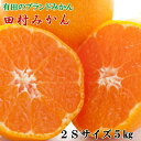 【ふるさと納税】【限定】 ブランドみかん 田村みかん 約 5kg 2Sサイズ 秀品 甘みと酸味のバランス 濃厚 フルーツ 柑橘 果物 果実 温州みかん 有田みかん 高級みかん 有田 みかん 食品 国産 産地直送 お取り寄せ 和歌山県 湯浅町 送料無料