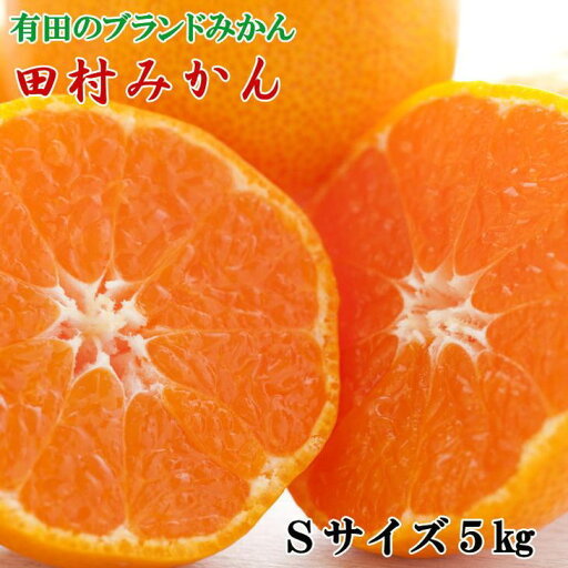 【ふるさと納税】【限定】 【2025年先行予約】 【ブランドみかん】 田村みかん 5kg (Sサイズ・秀品) 【ミカン 蜜柑 柑橘 温州みかん 有田みかん 高級みかん】 【ふるさと納税】【限定】 【2025年先行予約】 【ブランドみかん】 田村みかん 5kg (Sサイズ・秀品) 【ミカン 蜜柑 柑橘 温州みかん 有田みかん 高級みかん】