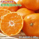 【ふるさと納税】【限定】 【2025年先行予約】 【秀品】 和歌山 有田みかん 5kg (SサイズまたはMサイズ) 【ミカン 蜜柑 柑橘 温州みかん 有田みかん】(4)