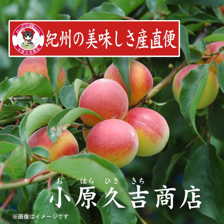 【ふるさと納税】【訳あり】 ふるさと納税 梅干し 紀州南高梅 つぶれ梅 梅干し はちみつ味 2kg ( 中粒 ～ 大粒 ）ワケあり