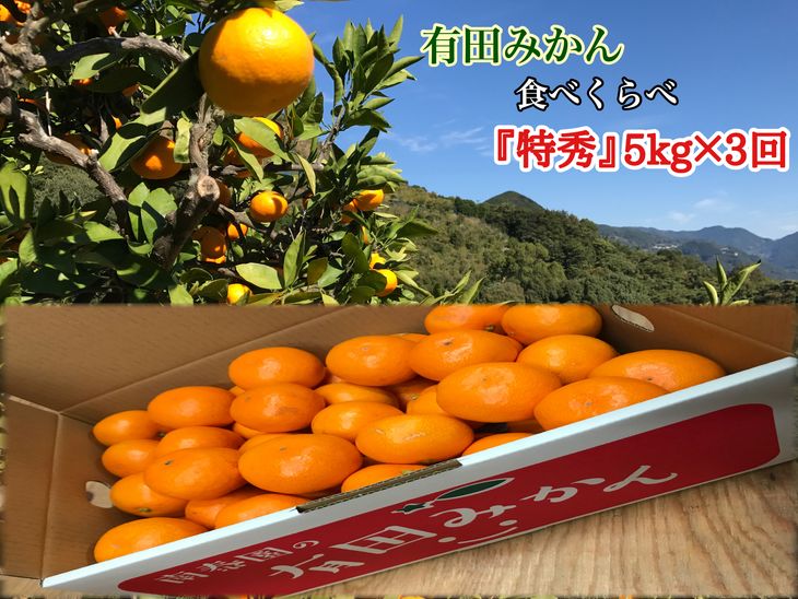 アイテムID:48669の画像1枚目