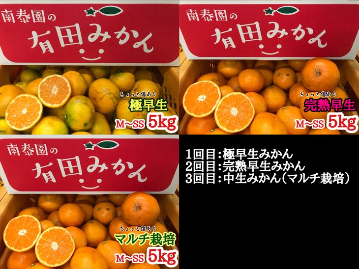 【ふるさと納税】【定期便】(先行受付2024年10月発送スタート)【ちょっと傷あり5kg×3回コース】有田みかん・食べくらべ3種【南泰園】 ※2024年10月中旬～2025年1月下旬頃に順次発送予定 ※着日指定不可【ミカン 蜜柑 柑橘 温州みかん 和歌山 有田】