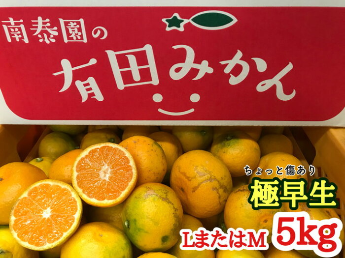 【ふるさと納税】【ちょっと傷あり】極早生・有田みかん 約5kg(LまたはMサイズ)【ミカン 蜜柑 柑橘 温州みかん 和歌山 有田 訳あり】