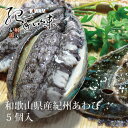 【ふるさと納税】やわコリ食感紀州活アワビ 【5個入】