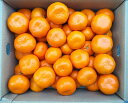【ふるさと納税】和歌山有田産中玉みかん約5kg (Mサイズ、