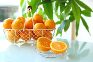 【ふるさと納税】【先行予約】主井農園 国産 バレンシアオレンジ（S〜LLサイズ青秀おまかせ）5kg【国産オレンジ オレンジ 柑橘 フルーツ 和歌山】