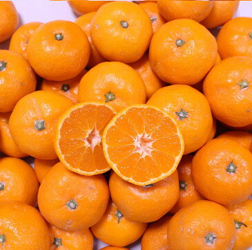 【ふるさと納税】こだわりの和歌山県産 有田みかん 5kg ひとつひとつ手選別で厳選!生産者から直送【ミカン 蜜柑 柑橘 温州みかん 和歌山 有田】