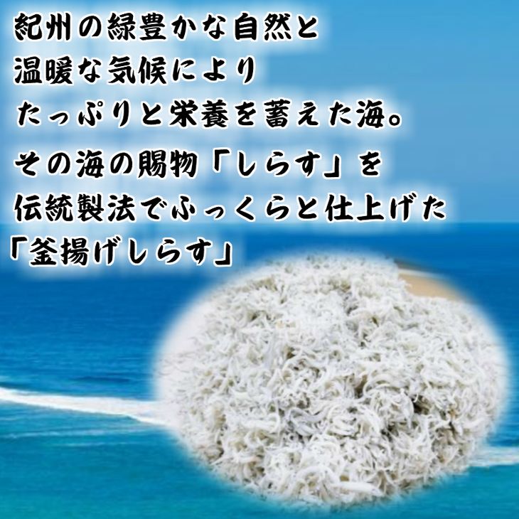 【ふるさと納税】湯浅湾の釜揚げしらす たっぷり700g 【無添加 無着色 訳あり 家庭用 簡易包装 和歌山県】