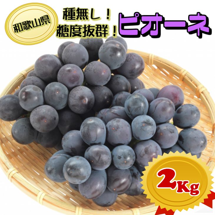 【ふるさと納税】【10月発送】 糖度抜群！ 種無し ピオーネ 2kg 自宅用 ぶどう ブドウ ※2021年10月上旬頃〜10月下旬頃順次発送予定