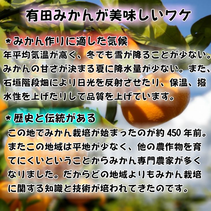 【ふるさと納税】【先行予約】高糖度 有田みかん 特秀品 10kg (M～Lサイズおまかせ)【ミカン 蜜柑 柑橘 温州みかん 有田みかん 和歌山】