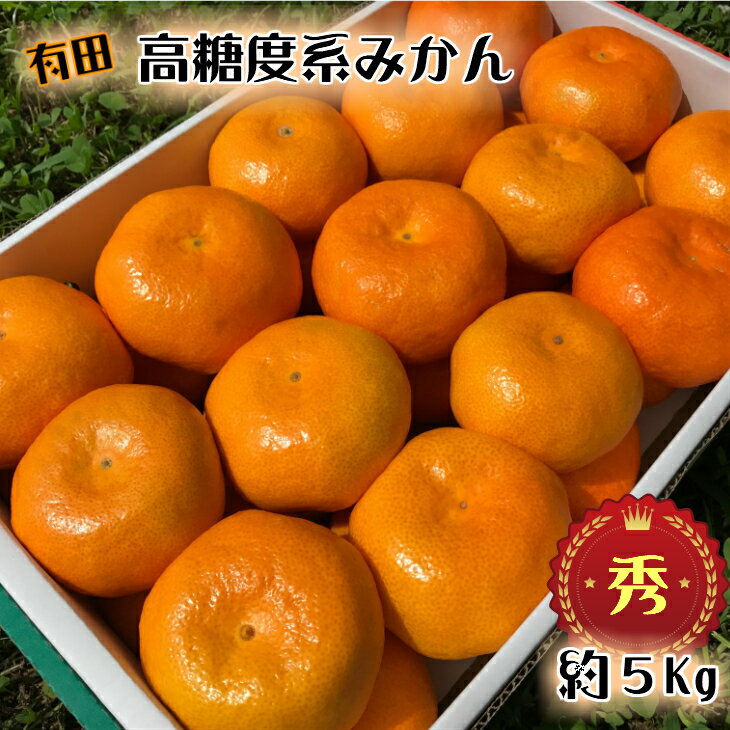 【ふるさと納税】【先行予約】高糖度 有田みかん 秀品 5kg M〜Lサイズ【ミカン 蜜柑 柑橘 温州みかん 有田みかん 和歌山】