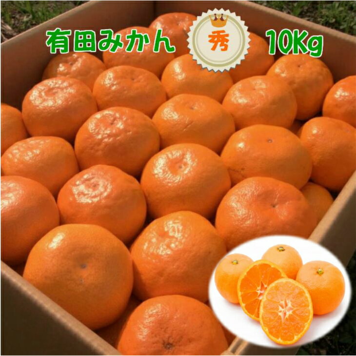 高糖度 有田みかん 秀品 10kg (M〜2Lサイズおまかせ)[ミカン 蜜柑 柑橘 温州みかん 有田みかん 和歌山]