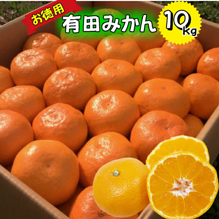 【ふるさと納税】【先行予約】有田みかん 家庭用 10kg 少々 訳あり (M～2Lサイズおまかせ) 【ミカン 蜜柑 柑橘 温州みかん 有田みかん 和歌山】のサムネイル