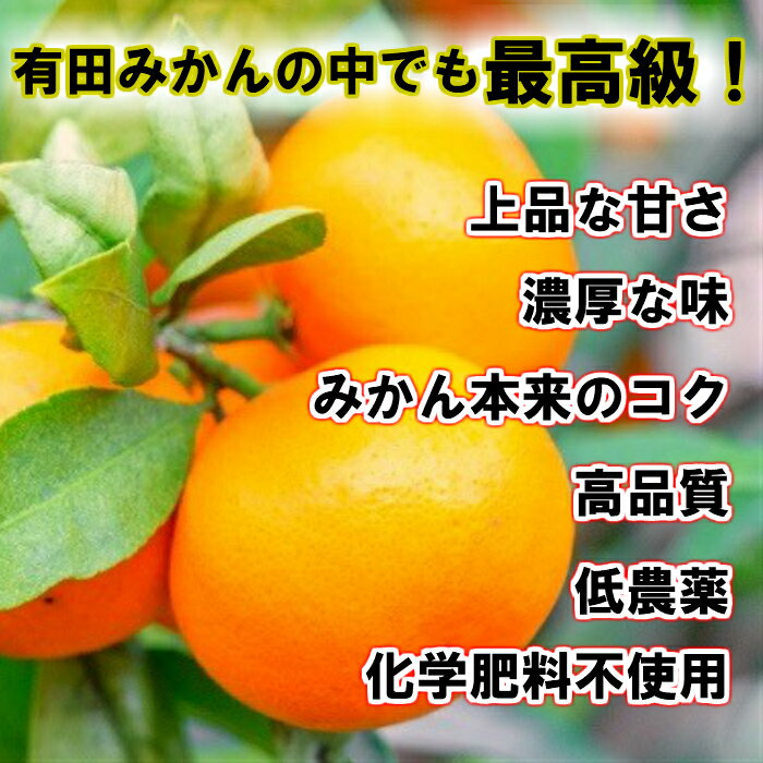 【ふるさと納税】有田の高級みかん【田村みかん】秀品！たっぷり 5kg ギフトにもオススメ【12月発送分】