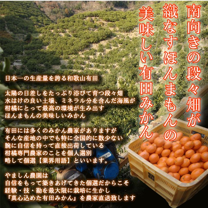 【ふるさと納税】＼農家直送／こだわりの有田みかん 約10kg 有機質肥料100%※2021年11月発送、2021年12月発送どちらか選択できます※沖縄及び離島は配送不可※着日指定不可