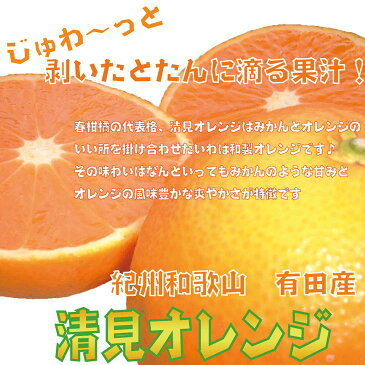 【ふるさと納税】果汁たっぷり！清見オレンジ 約10kg 有機質肥料100%　※2021年3月上旬より順次発送予定※沖縄及び離島は配送不可※着日指定不可