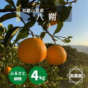【ふるさと納税】【2026年先行予約】【産地直送】和歌山県産 八朔 4kg (M~3Lサイズ)【はっさく ハッサク 八朔 和歌山産 柑橘 和歌山 有田】(4)