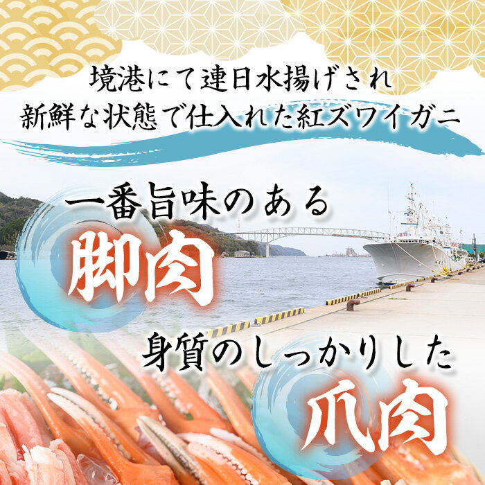 【ふるさと納税】境港産紅ズワイガニ(計800g/脚肉500g・爪肉300g) 国産 魚介 海鮮 海の幸 カニ かに 蟹 紅ずわいがに ベニズワイガニ 新鮮 カット済み カット むき身 ポーション 冷凍 ボイル セット 鍋 ギフト お歳暮 お中元 贈答 【sm-AE001】【境港センター冷蔵】