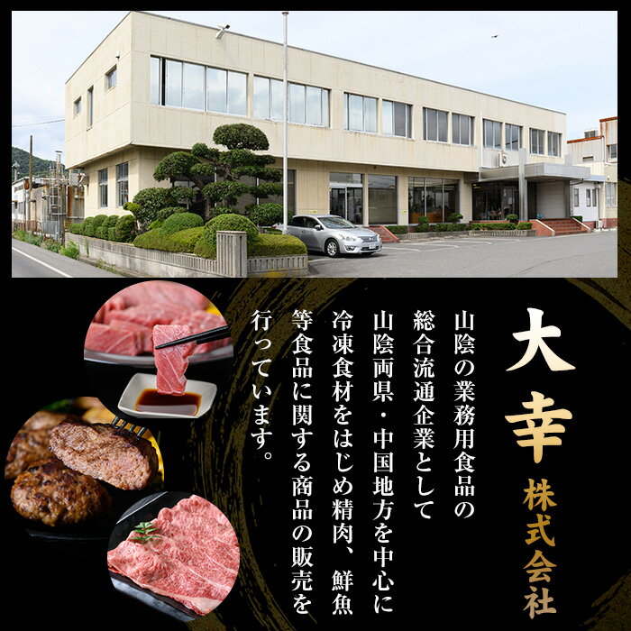 【ふるさと納税】鳥取和牛DAISENハンバーグ(計6個)国産 鳥取県産 大山 手作り 牛肉 和牛 お肉 肉 惣菜 お取り寄せ ギフト プレゼント 誕生日プレゼント お祝い 贈答品【sm-AO001】【大幸】