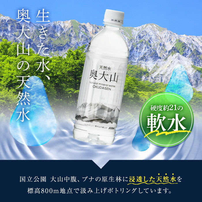 【ふるさと納税】＜定期便3回＞天然水奥大山(500ml×24本入り×3か月・計72本)国産 鳥取県 鳥取県産 大山 奥大山 天然水 水 軟水 ミネラルウォーター ミネラルバランス 山地 ペットボトル 贈り物【sm-CB003】【江府町地域振興】