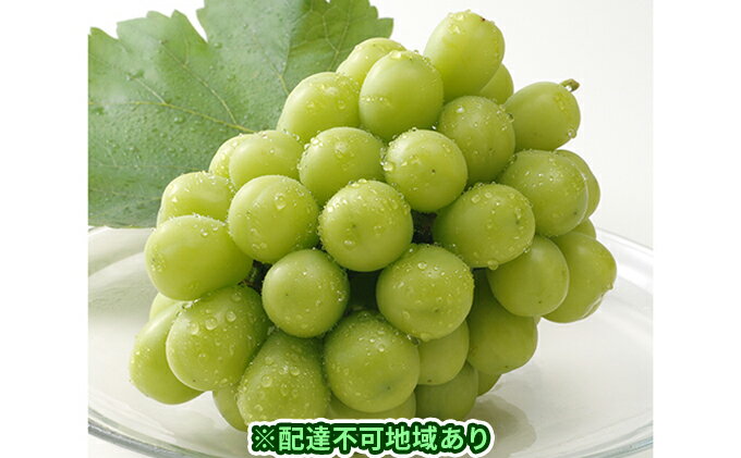 最安 ふるさと納税 岡山県産 シャインマスカット 1房 約500g 配達 離島 果物類 ぶどう マスカット フルーツ 果物 葡萄 お届け 21年8月中旬 21年9月下旬 保存版 Moodle Edenuniversity Net