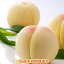 【ふるさと納税】●先行予約受付●岡山の 白桃 大玉3玉(晩生