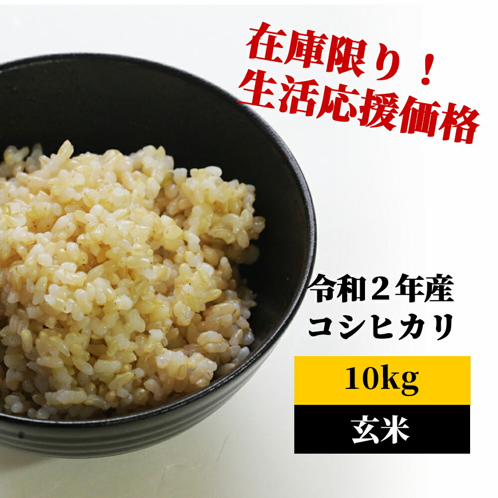 【ふるさと納税】K8 あわくら源流米 コシヒカリ 玄米10kg
