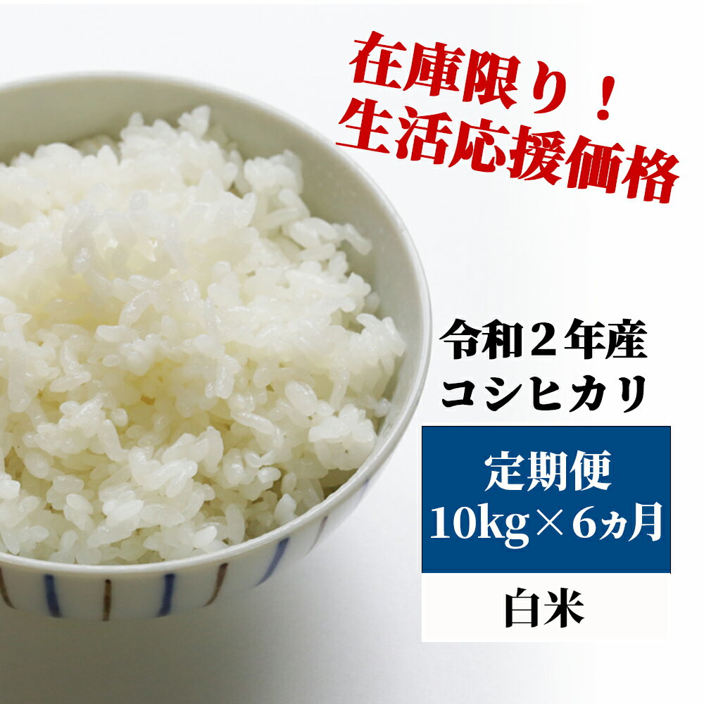 【ふるさと納税】K22 定期便 あわくら源流米 コシヒカリ 白米10kg×6